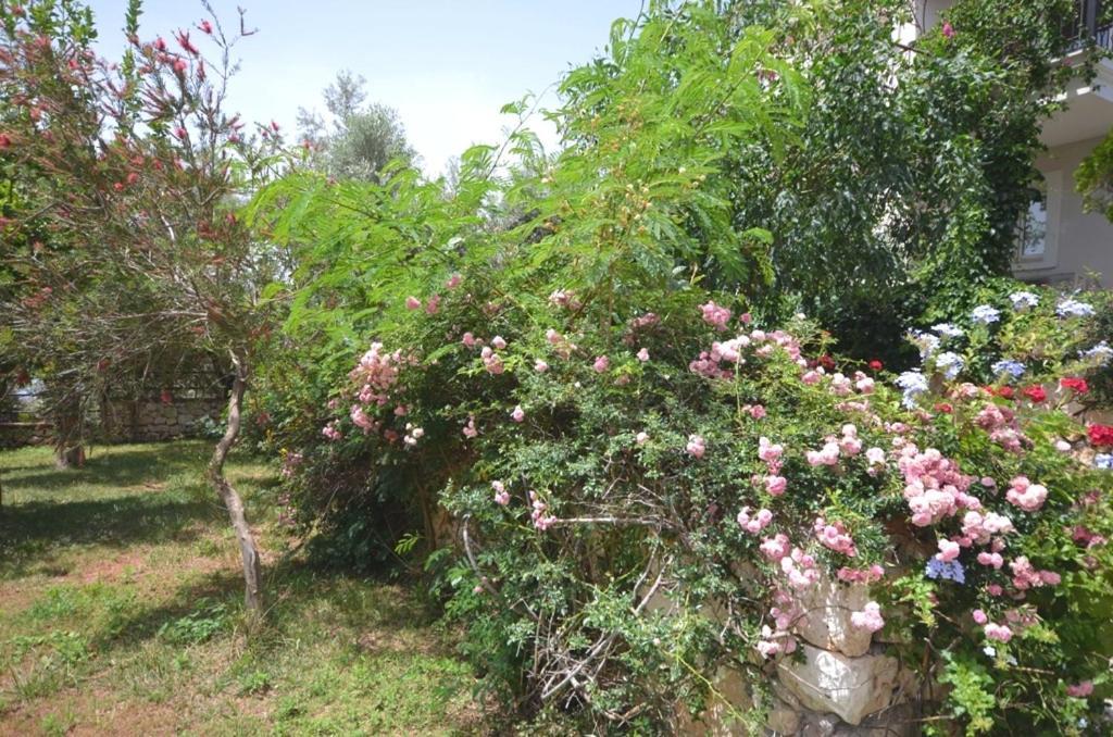Villa Leton Kleo - Kalkan Center Экстерьер фото